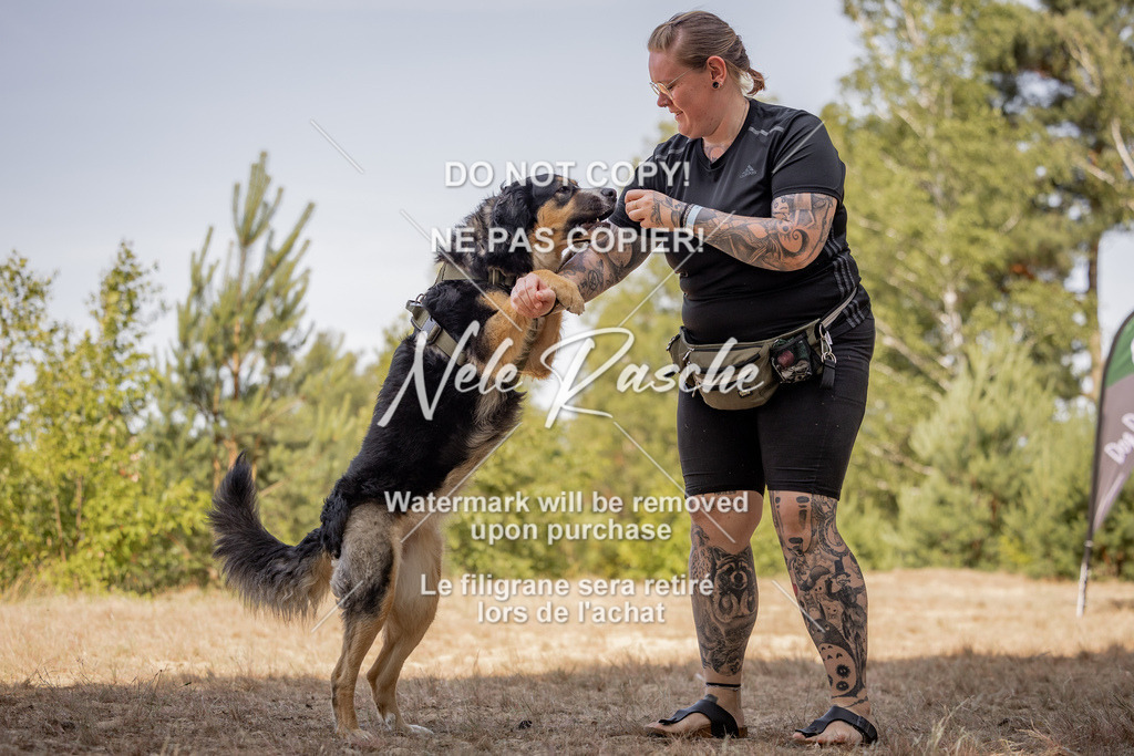nelerasche_soDD2_262 | nelerasche