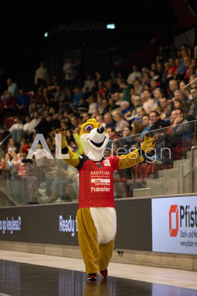 Handballen I Herren I Saison 2025-2026 I Quickline Handball League 2026 | Men I 18. Spieltag I Pfade Winterthur - Kadetten Schaffhausen I 20.12.2025 | Hochwertige Sportfotos kaufen & lizenzieren für Medien, Vereine, Agenturen & Sportler:innen. Entdecke professionelle Sportfotografie im Bildshop von Alexander Franzen. - Realisiert mit Pictrs.com