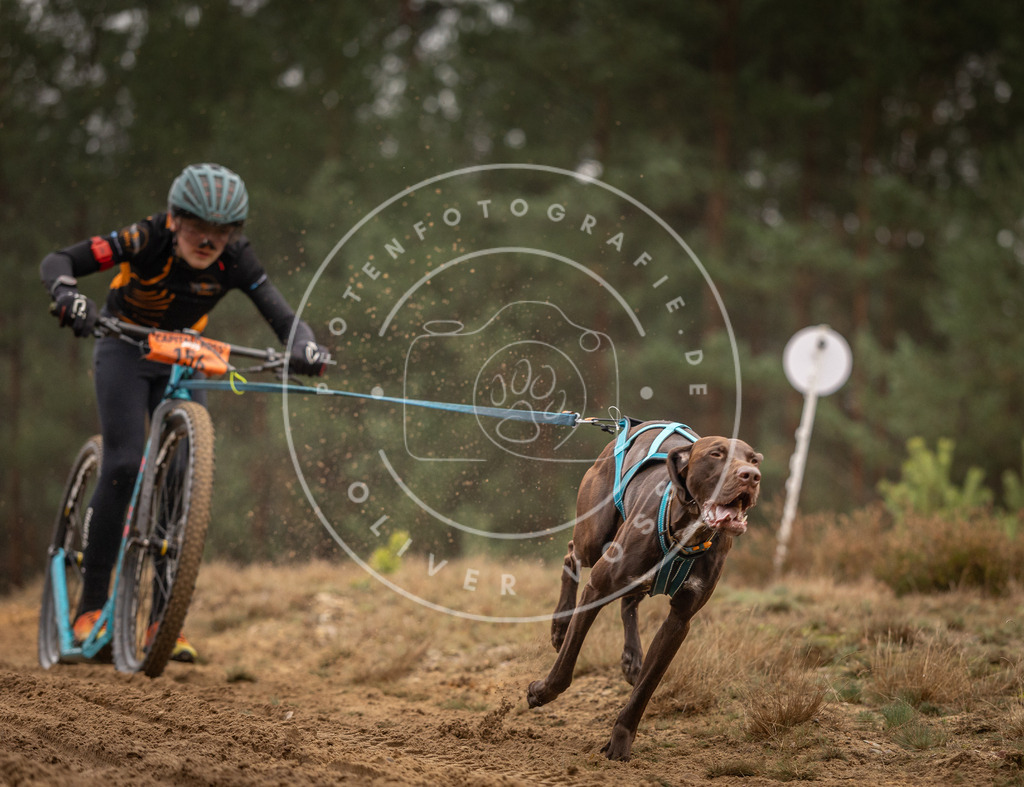 Pfotenfotografie_DV3A4240 | Hundefotografie, Tierfotograf, Pfotenfotografie, Fotoshooting Hund, Hunde Portrait, Hundesport, Hundeportraits, Heideshooting, Hunde, Sportfotograf, Hundefotograf, Turnierhundsport, THS,  - Realisiert mit Pictrs.com