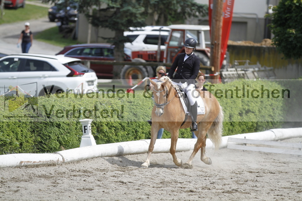 _MG_8738 | equestrian-live-com
