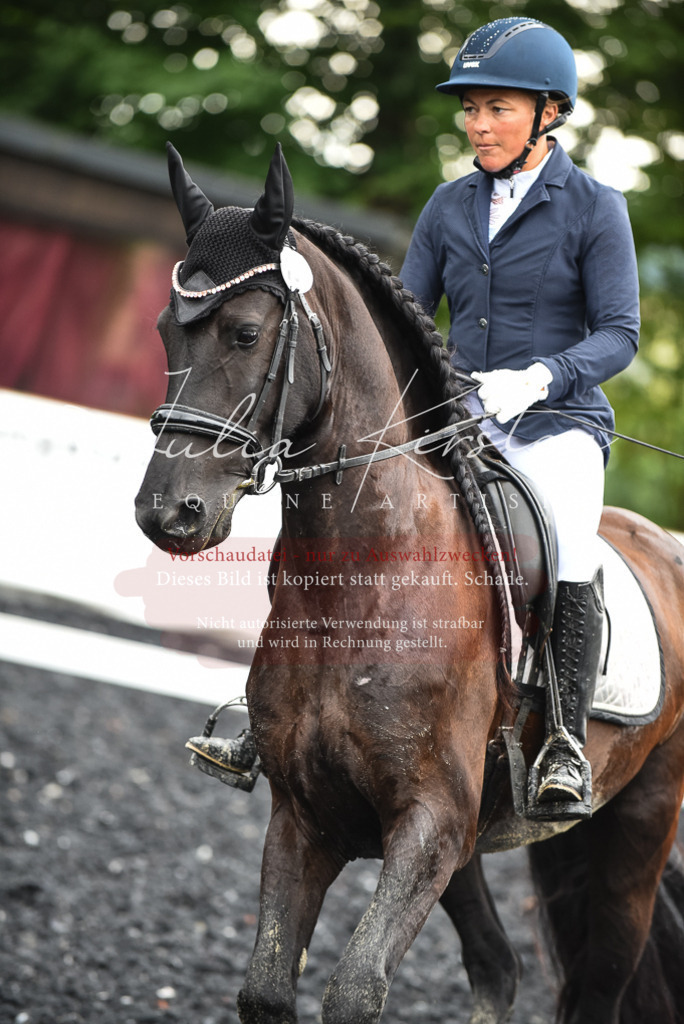 DSC_2789 | Pferde- und Turnierfotografie in Westsachsen. Pferdeportraits, Auftragszeichnungen und intuitive Kunst.