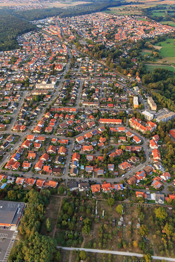 Luftbild: Blumenring, Buchstr in Jockgrim im Bundesland Rheinland-Pfalz in Deutschland. Foto: IMG_110746.jpg vom 05.09.2018 durch Werner Riehm/FLY-FOTO.de