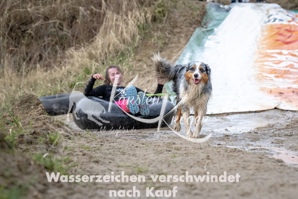 1536_ZZ90252-Bearbeitet | kk-dogfotos