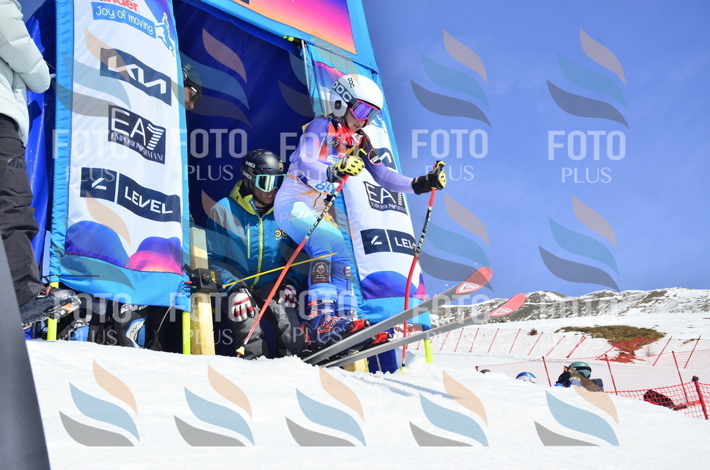 _ELE0478 | holidayphoto