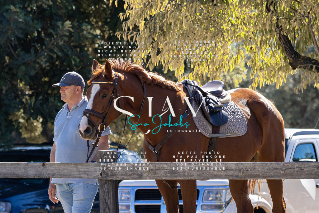 IMG_0220 | s-jay-photography - Realisiert mit Pictrs.com