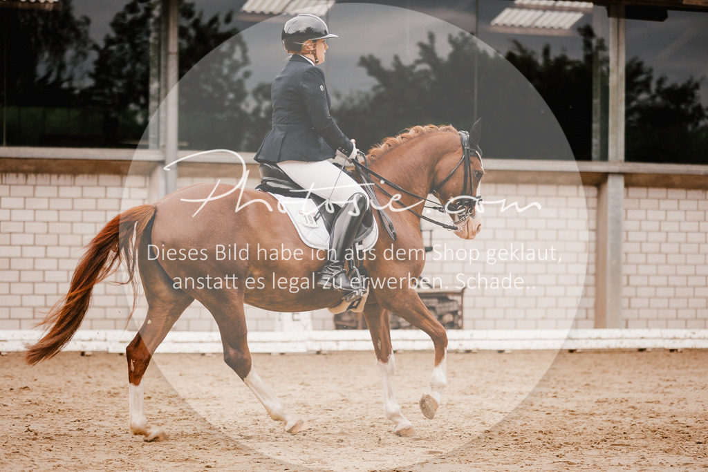 3I6A7776 | Stimmungsvolle Portraits und Reitsportfotografie im Ruhrgebiet und im Münsterland.

Pferdefotografie, Hundefotografie, Tierfotografie, Reportagen, Portraits von Tier und Mensch, Turnierfotografie in Bochum, Recklinghausen, Marl, Haltern am See, Dülmen.. - Realisiert mit Pictrs.com
