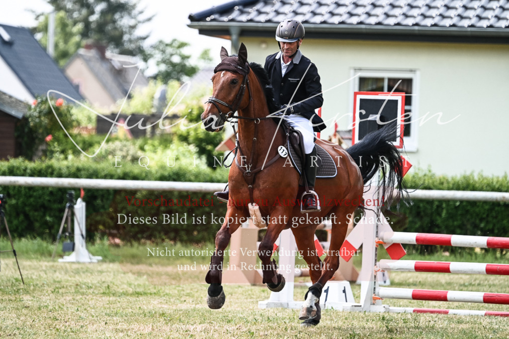 DSC_9148 | Pferde- und Turnierfotografie in Westsachsen. Pferdeportraits, Auftragszeichnungen und intuitive Kunst.