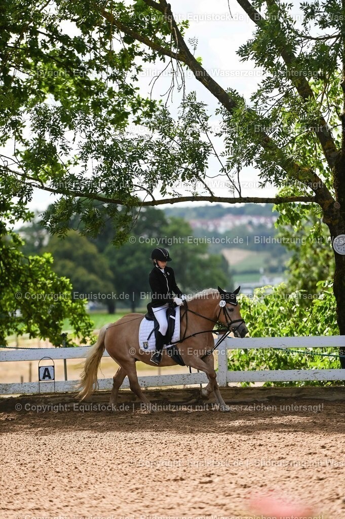 20230716_10-3_Reiter-WB Schritt - Trab - Galopp_0102 | equistock