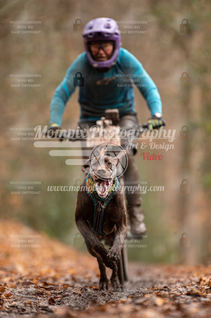 SPA_2023_DIM_Bike-18 | PayLife