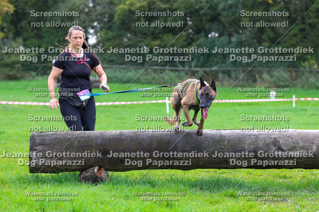 Dog Paparazzi -  SD1026-2114 | Dog Paparazzi Jeanette Grottendiek Fotografie & Videografie - Realisiert mit Pictrs.com
