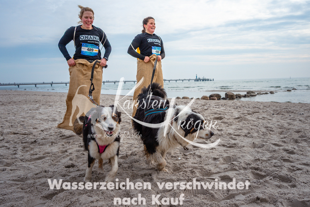 1138STR_9213 | kk-dogfotos