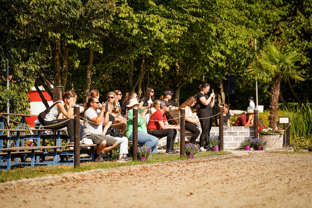 DSC00439 | Pferdegrafie