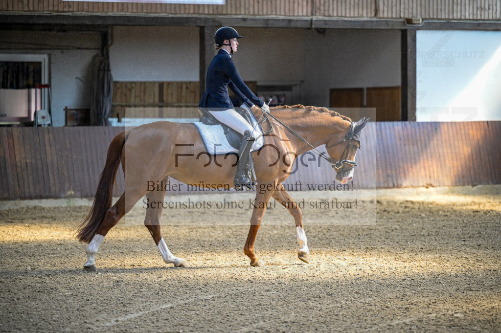 Reitturnier Voxtrup | Entdecke hochwertige Reitturnierfotos von Foto Oger. Professionell, emotional und authentisch – jetzt Lieblingsmomente im Shop bestellen.Deutschlandweite Turnierfotografie. - Realisiert mit Pictrs.com