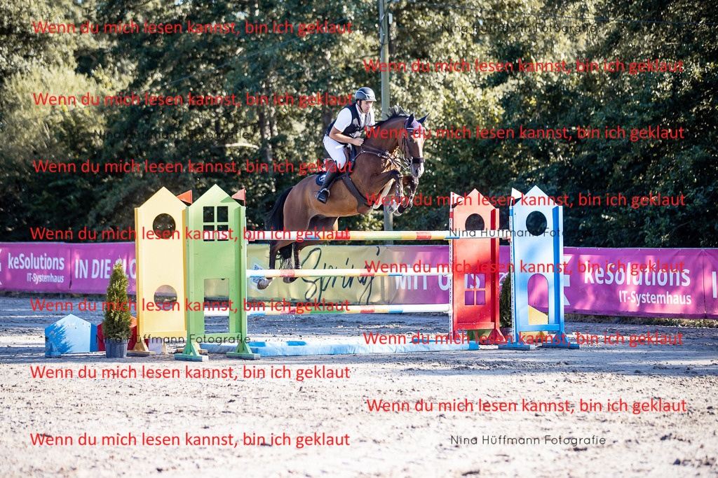 BK1A8670 | Turnierbilder Turnierfotos Nina Hüffmann Turnierfotografie Pferdefotografie Tierzeichnung Haustierzeichnung Pferdezeichnung Hundezeichnung Videograf  - Realisiert mit Pictrs.com