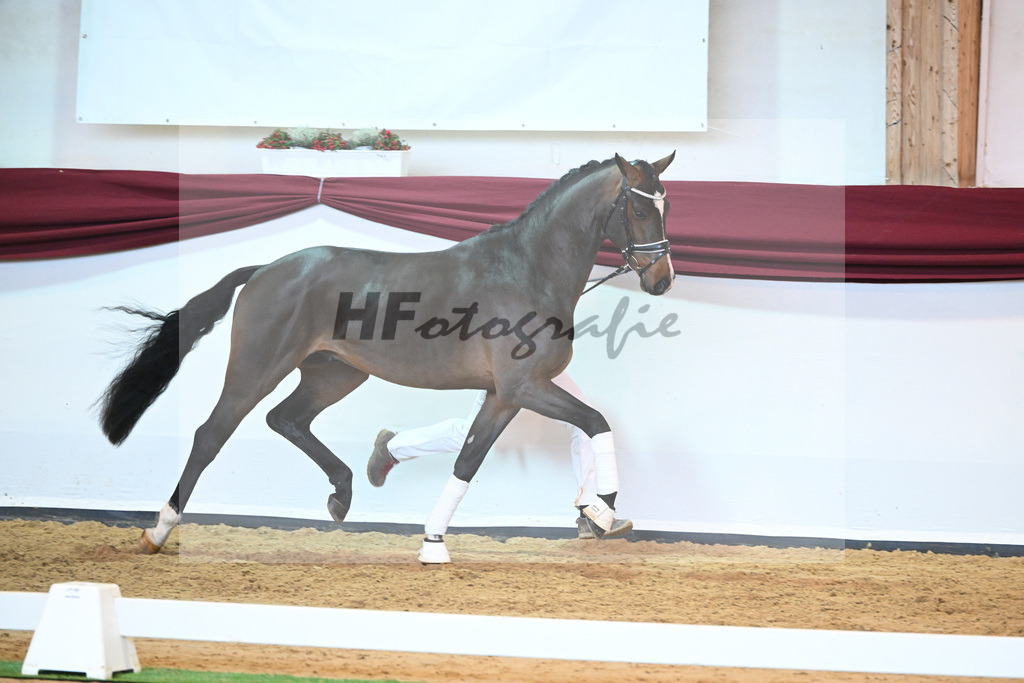 Kat-Nr. 61 v. Goldberg_Reglauer_66221999 | hf-fotografie - Realisiert mit Pictrs.com