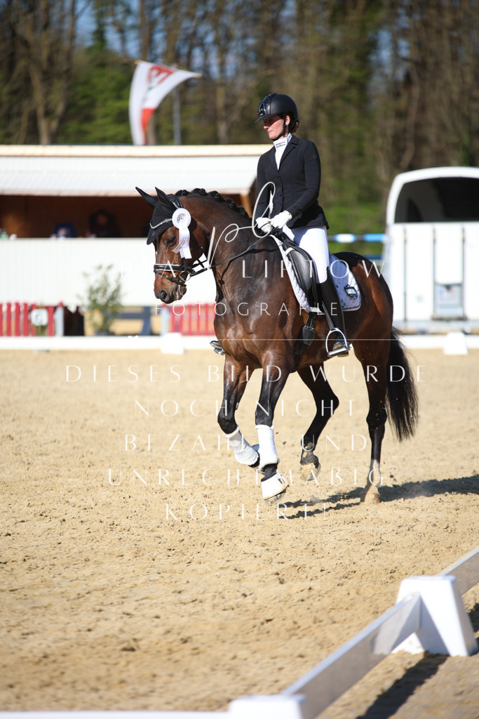 IMGT9169 | pl-fotografie