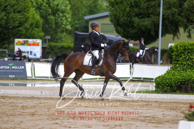 DKP40776 | Turniersportfotografie; Pferdefotografie; Dressurfotografie