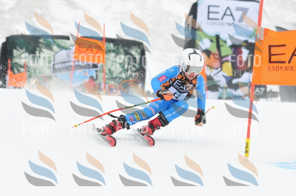 DSC_8761 | holidayphoto