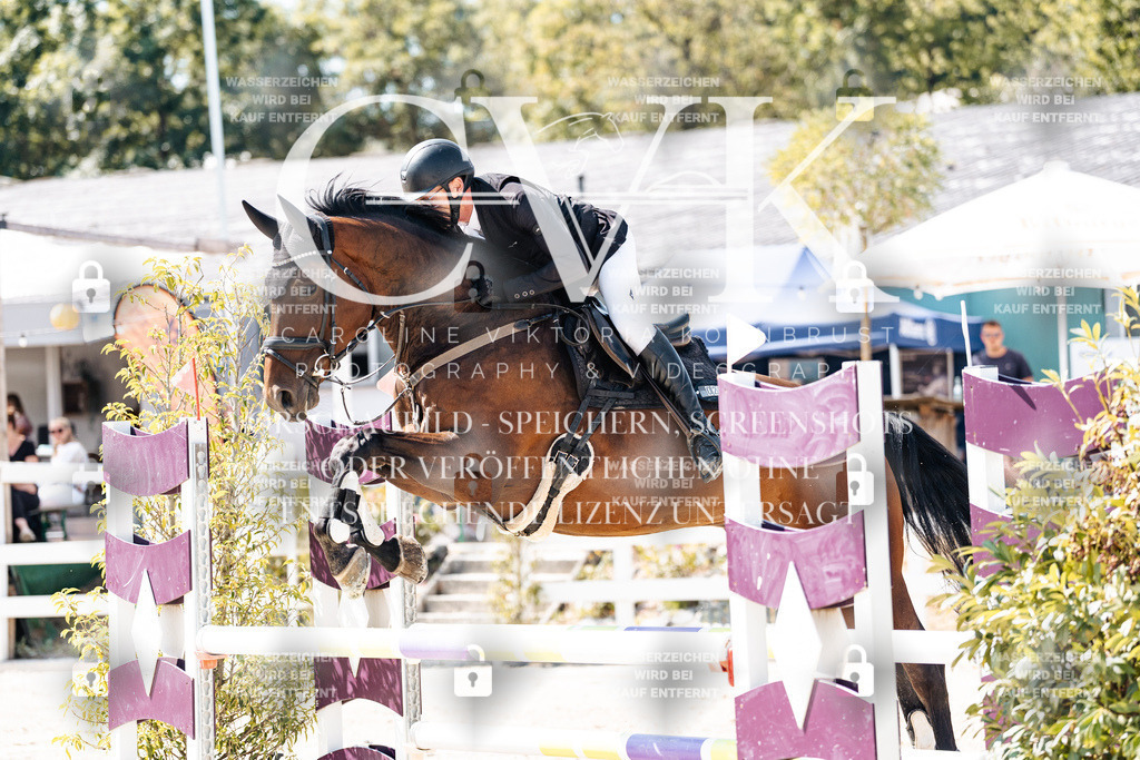 CK909049 | Turnierfotografie Pferdefotografie Trier Rheinland-Pfalz Pferdesport Reitsport Tierfotografie Sportfotografie Pferdevideo Pferdevideografie Equestrianvideography equestrianphotography  - Realisiert mit Pictrs.com