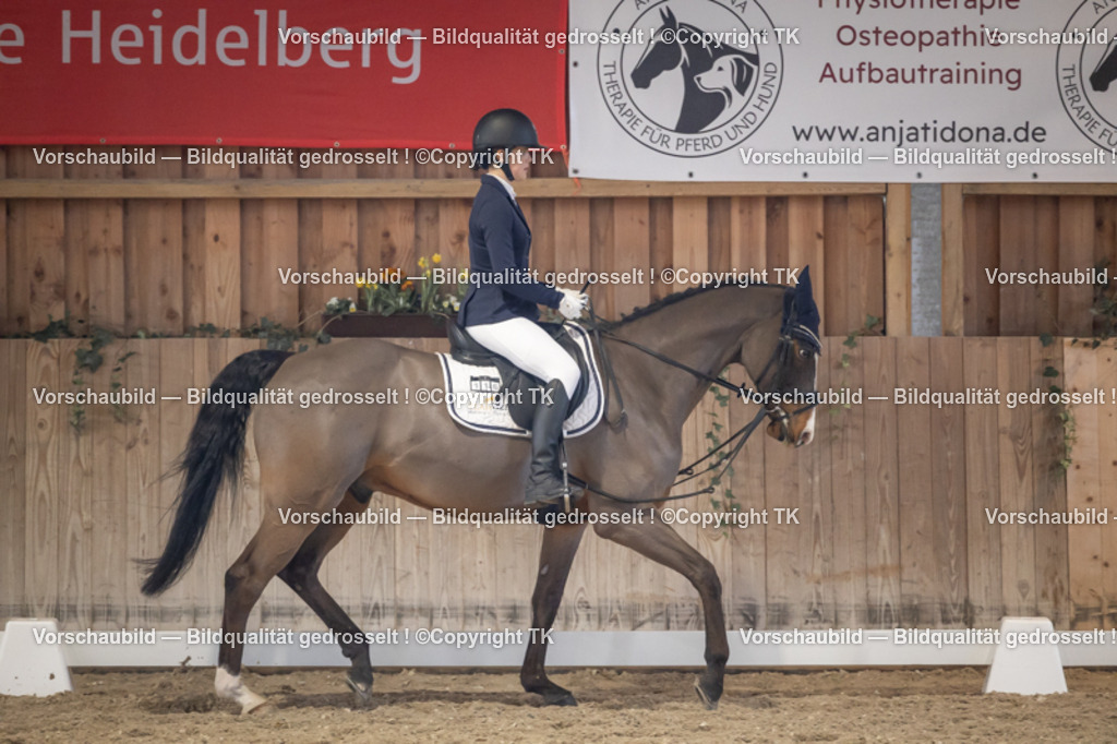 _D5A2431 | Emotionale Pferde- & People-Fotografie rund um Heidelberg, Leimen & Umgebung. Natürliche Fotos von Pferd, Mensch & Familie. Jetzt Termin sichern!