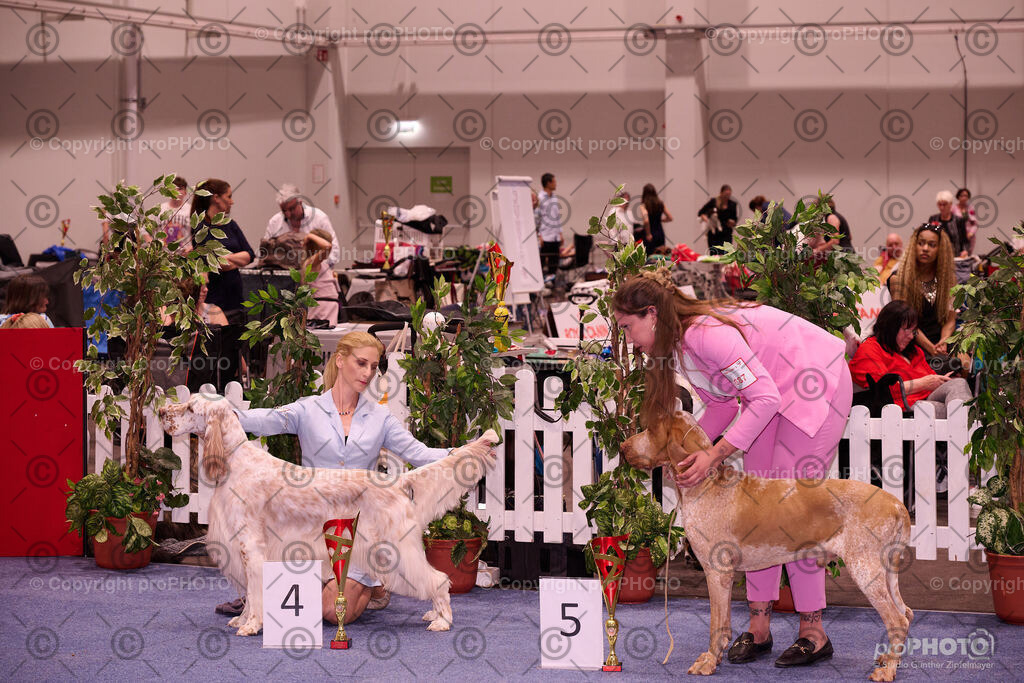 202406_ÖKV-IHA-Tulln24_NZ9_9549 | proPHOTO - Realisiert mit Pictrs.com