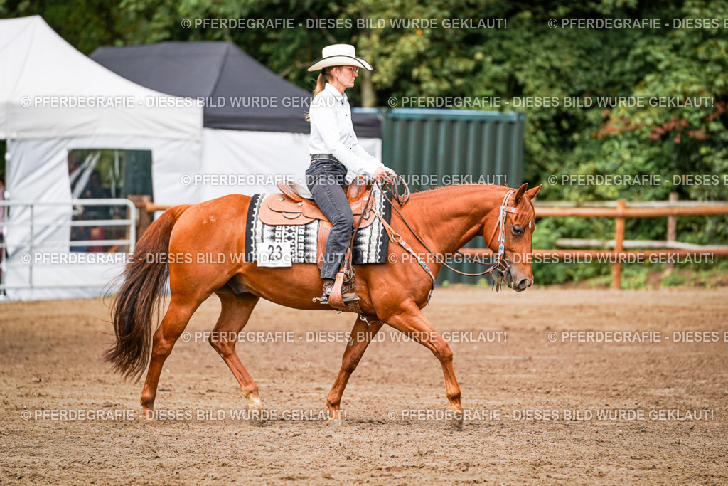 DSC06639 | Pferdegrafie