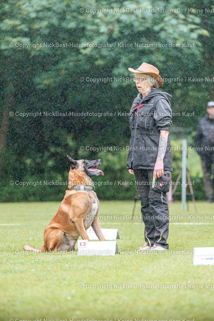 RO-Blumenthal-2026-Nickbest-Hundefotografie-0462 | Dein Hund! Dein Moment! Deine Erinnerungen! Hundefotografie in Bremen Blumenthal. Ich fange die besonderen Momente deines Vierbeiners ein – ob Indoor mit Blitzanlage oder in der freien Natur. Sicher dir dein Moment und dein Termin für eure Erinnerungen.