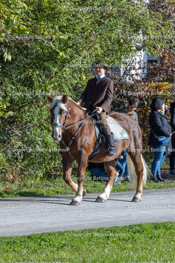 LBT24-722 | foto-bettina-krinner - Realisiert mit Pictrs.com