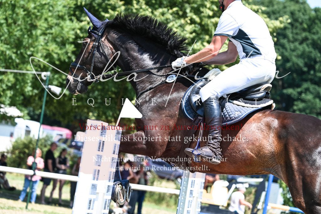 DSC_0326 | Pferde- und Turnierfotografie in Westsachsen. Pferdeportraits, Auftragszeichnungen und intuitive Kunst.