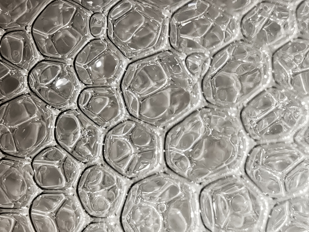 PSX_20230131_225605 | mtkfoto_ - Realisiert mit Pictrs.com