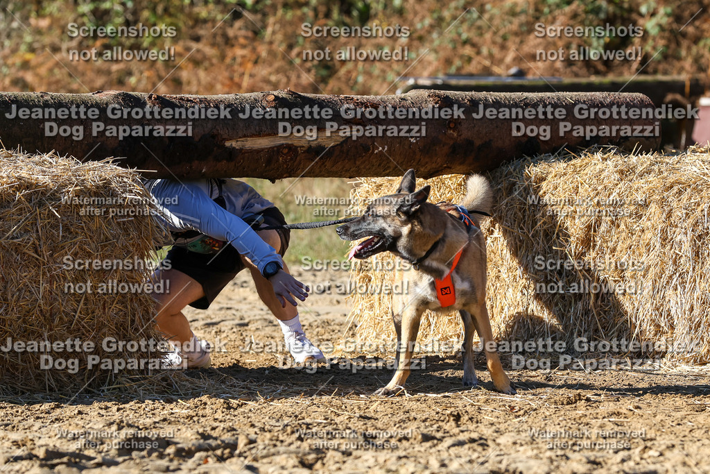 Dog Paparazzi - Strongdog 10-25-2533 | Dog Paparazzi Jeanette Grottendiek Fotografie & Videografie - Realisiert mit Pictrs.com
