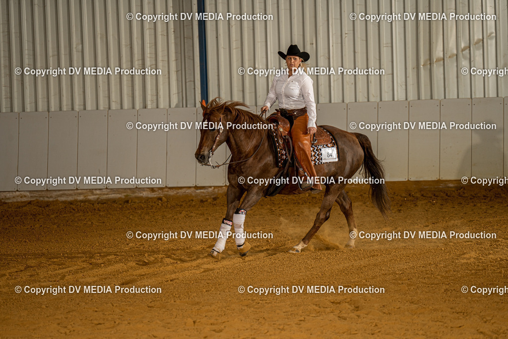 MIT00592 | dv-media-shop - Realisiert mit Pictrs.com