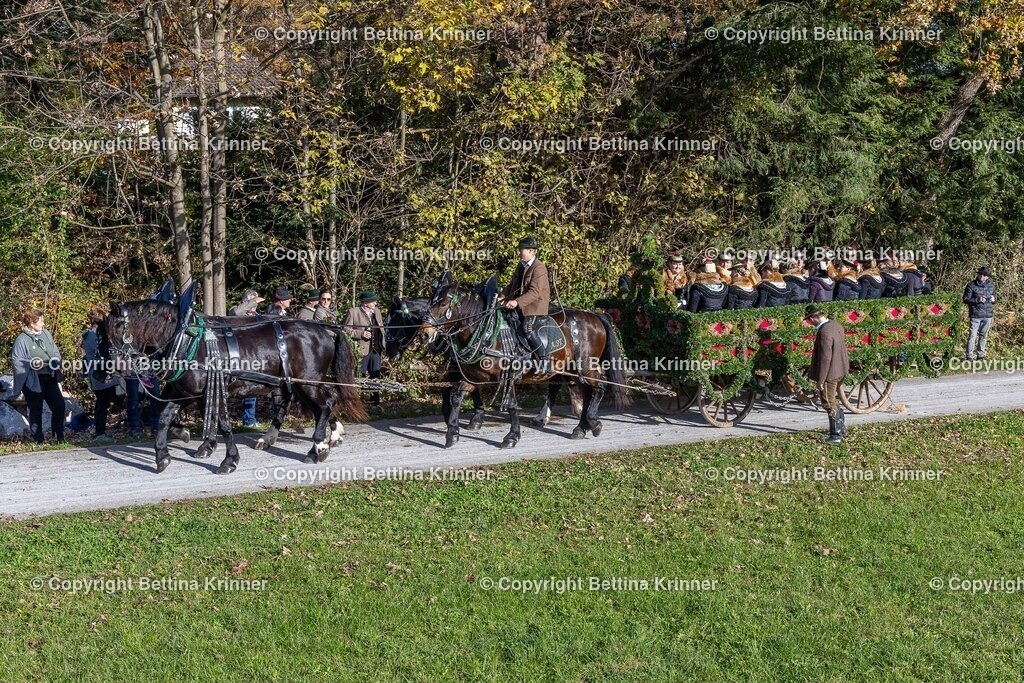 LBT24-893 | foto-bettina-krinner - Realisiert mit Pictrs.com