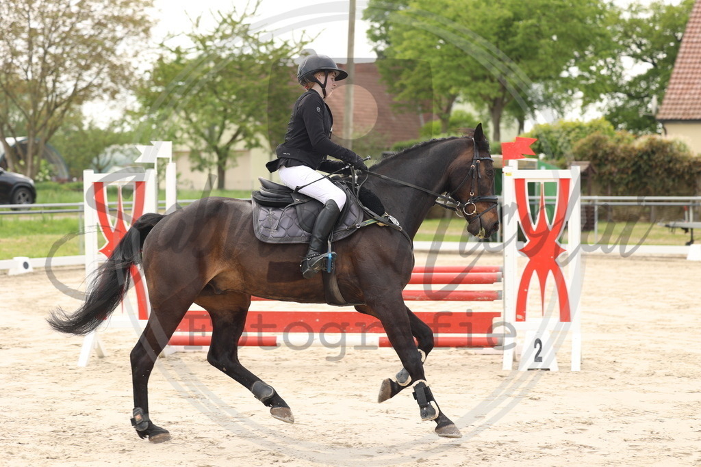 994A7496 | sabrinanicolaifotografie - Realisiert mit Pictrs.com