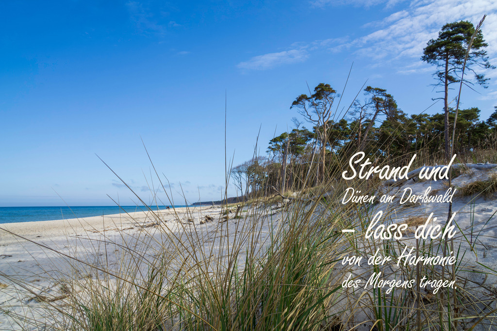 Meer Kalender 2026 - Ostseemotiv mit Text | Gestalten Sie Ihr Zuhause mit einzigartigen Bildern von Ostsee u. Nordsee – als Leinwandbild, Acryl, Alu-Dibond oder FineArt Hahnemühle, individuell anpassbar.