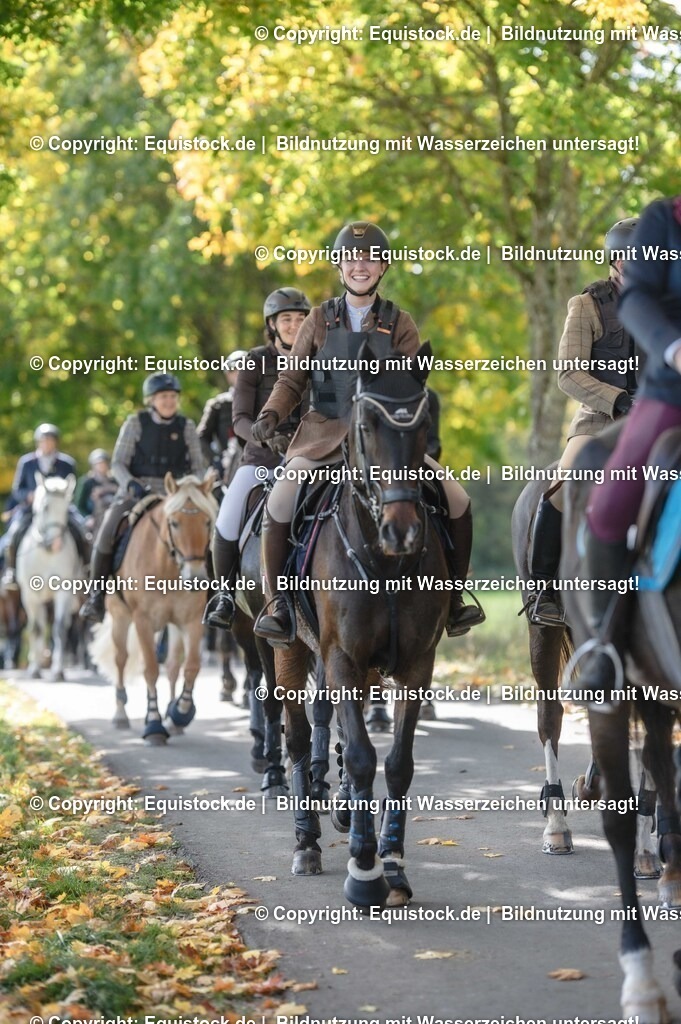 20251011_Jagd-Marbach_0297 | Foto: Thomas Hartig