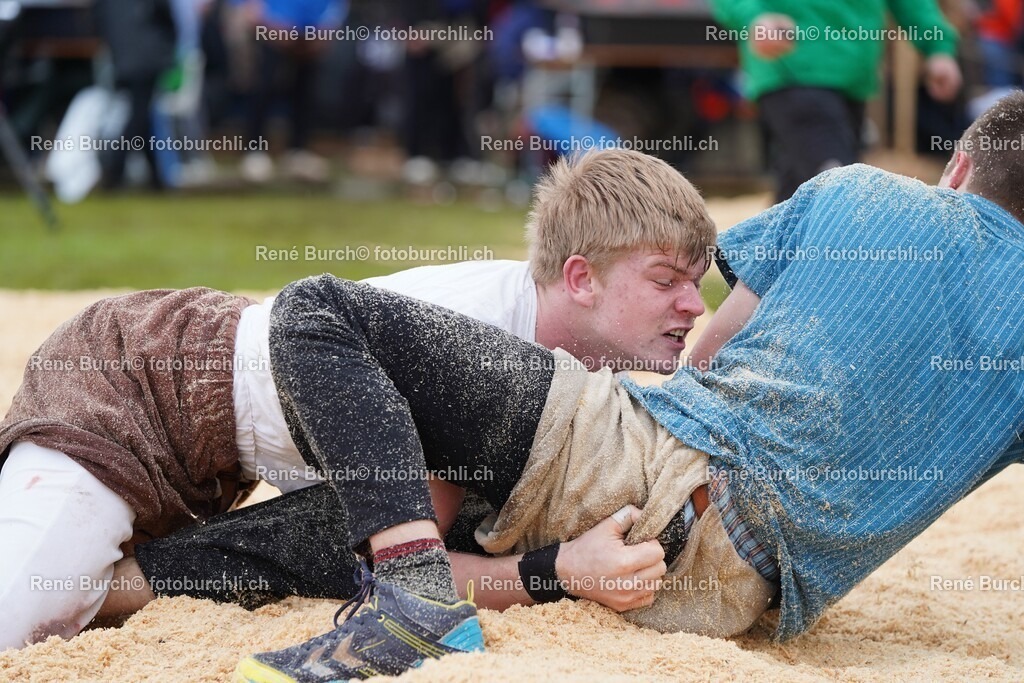 DSC06491 (2) | René Burch leidenschaftlicher Fotograf aus Kerns in Obwalden.  Hier finden sie Sport, Landschaft und Natur Fotografie.
 - Realisiert mit Pictrs.com