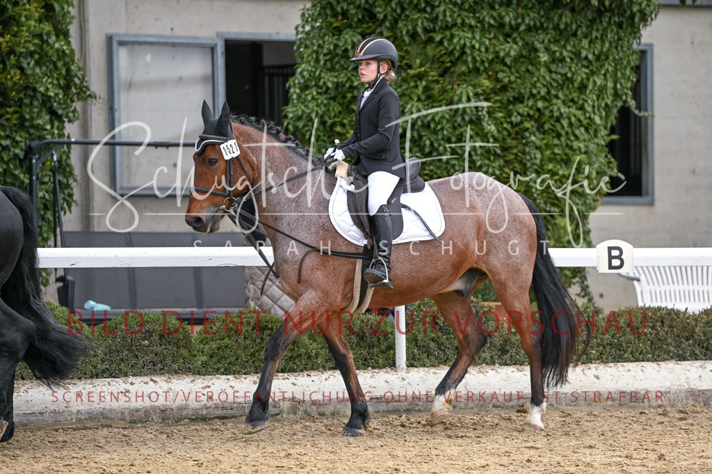 Schugtsche-Aluta25-44.DresssurreiterWB-67 | Schugtsche Fotografie - Realisiert mit Pictrs.com