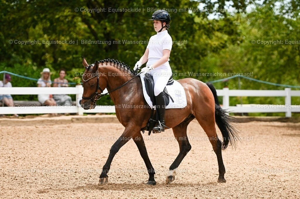 20230715_05_Dressurprüfung Kl.A++_0017 | equistock