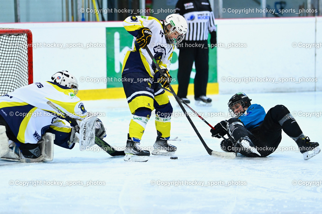 BST_6714 | hockey sports photos, Pressefotos, Sportfotos, hockey247, win 2day icehockeyleague, Handball Austria, Floorball Austria, ÖVV, Kärntner Eishockeyverband, KEHV, KFV, Kärntner Fussballverband, Österreichischer Volleyballverband, Alps Hockey League, ÖFB, 