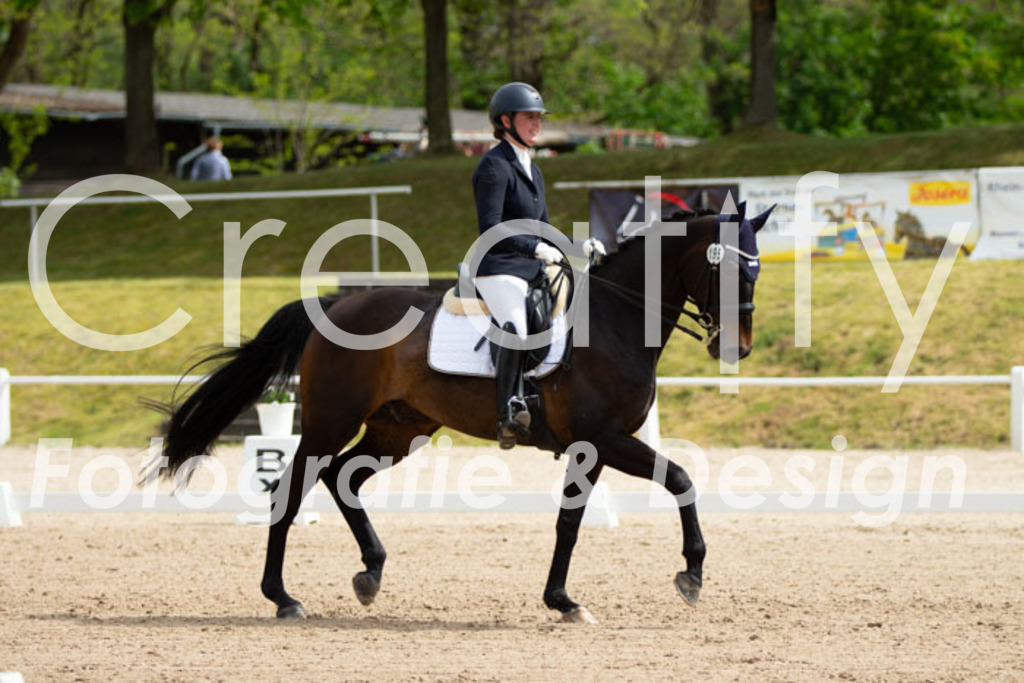 IMG_6898 | Creatify Fotografie