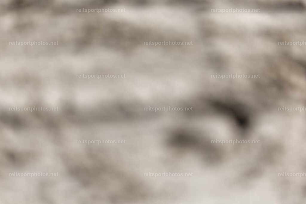 JoYaR3_Heidehof_00836 | JoYa Fotografie - Realisiert mit Pictrs.com