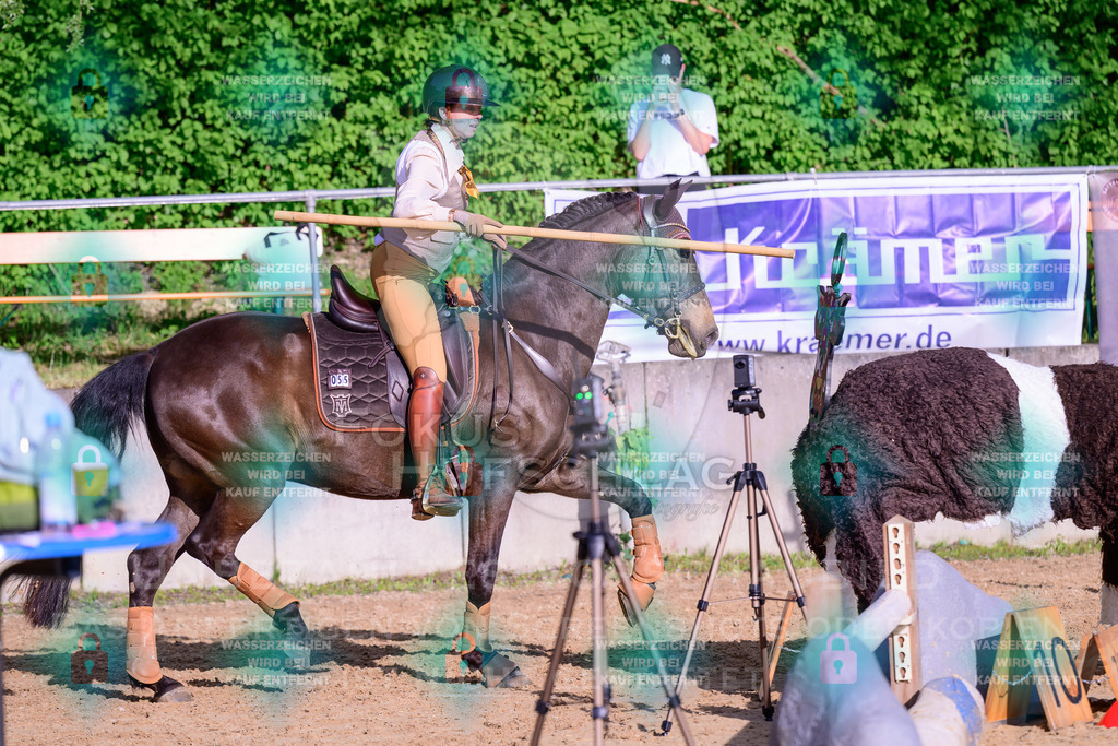02052026-Giesenbach-03-Speedtrail-0169 | Fokus Hufschlag Fotografie - Realisiert mit Pictrs.com