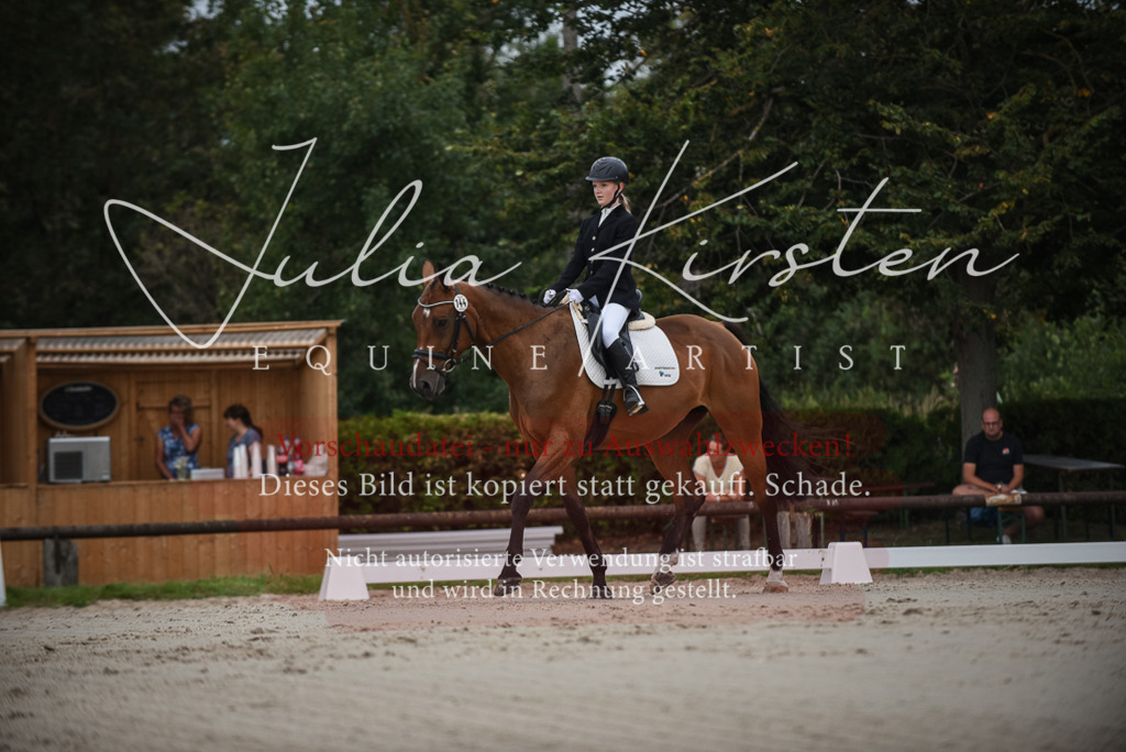 DSC_8027 | Pferde- und Turnierfotografie in Westsachsen. Pferdeportraits, Auftragszeichnungen und intuitive Kunst.