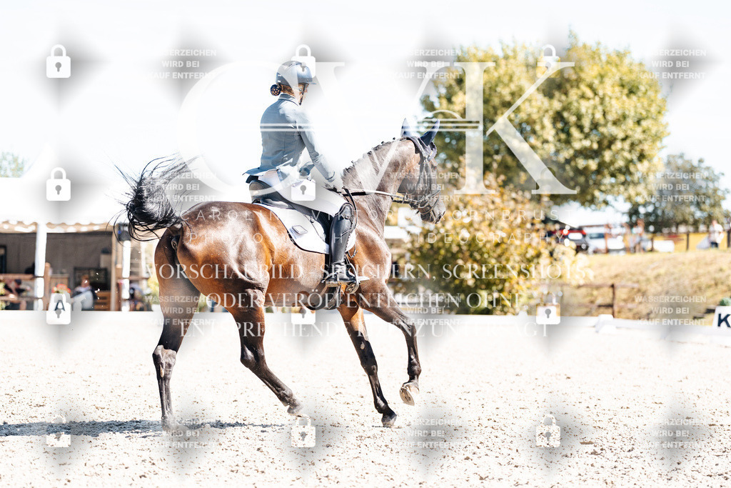 CK909830 | Turnierfotografie Pferdefotografie Trier Rheinland-Pfalz Pferdesport Reitsport Tierfotografie Sportfotografie Pferdevideo Pferdevideografie Equestrianvideography equestrianphotography  - Realisiert mit Pictrs.com