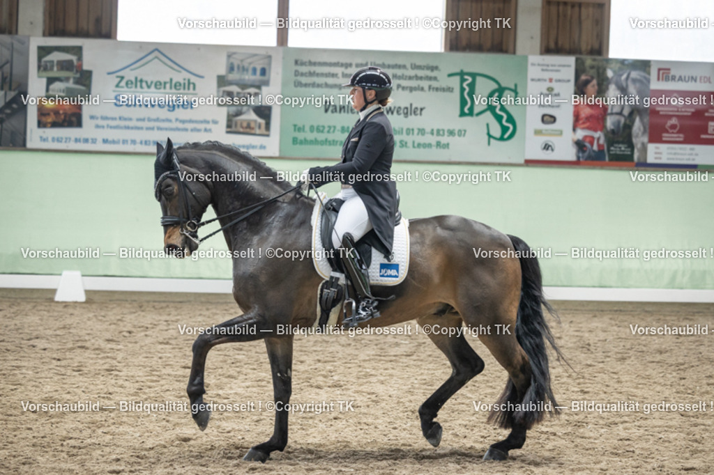 _D5A6107 | Emotionale Pferde- & People-Fotografie rund um Heidelberg, Leimen & Umgebung. Natürliche Fotos von Pferd, Mensch & Familie. Jetzt Termin sichern!