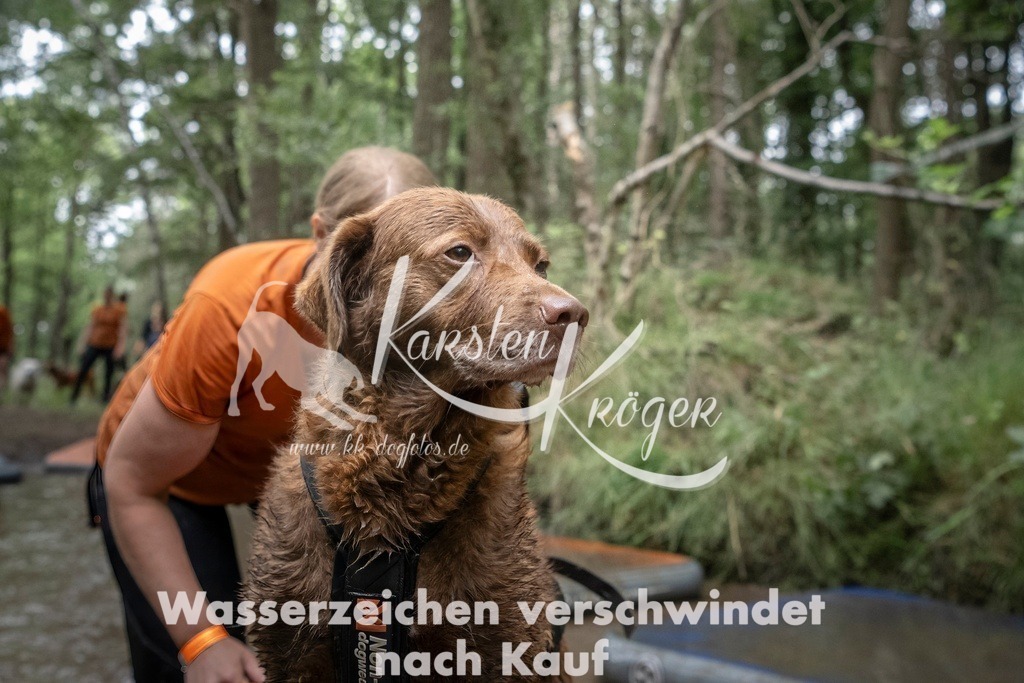 1217_ZZ98256T | kk-dogfotos