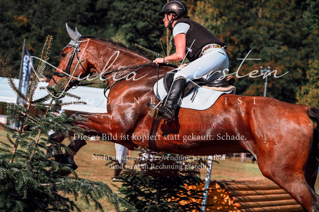 DSC_1012 | Pferde- und Turnierfotografie in Westsachsen. Pferdeportraits, Auftragszeichnungen und intuitive Kunst.