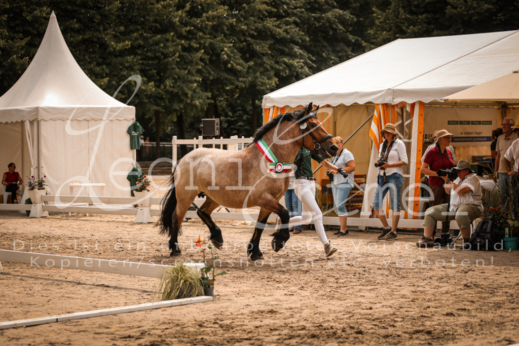 SaSieger00079 | Leoni Ertmer Photography - Realisiert mit Pictrs.com