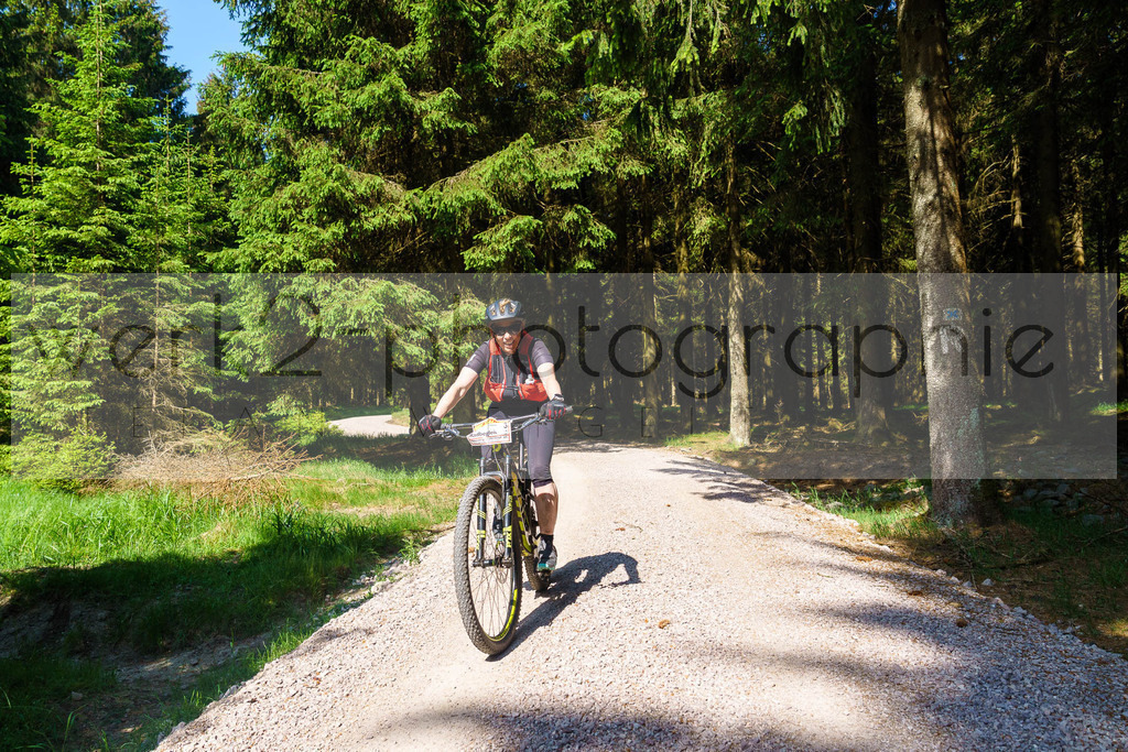 Rennsteig-Staffellauf 2023 | Rennsteig-Staffellauf - Hörschel bis Blankenstein - 17. Juni 2023